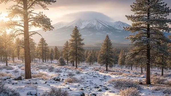 Bend vs. Flagstaff: The Ultimate Mountain Town Showdown (2026),Haley Overton
