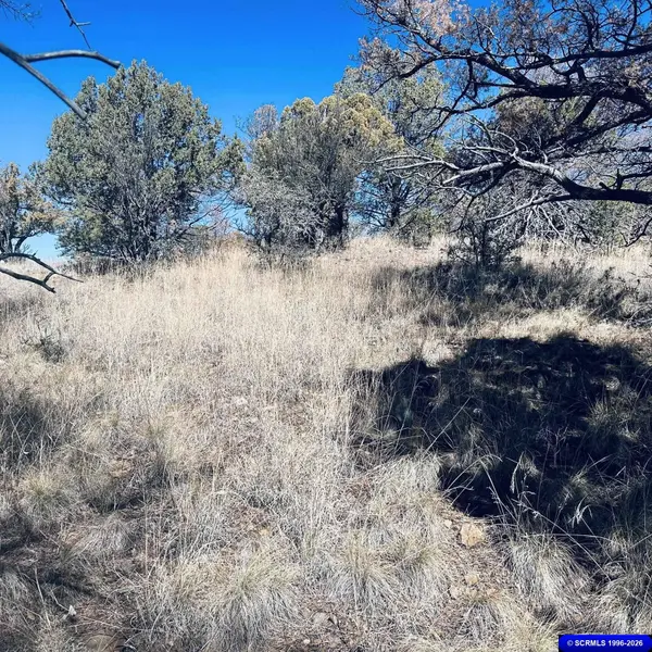 9 Vesuvius, Silver City, NM 88061