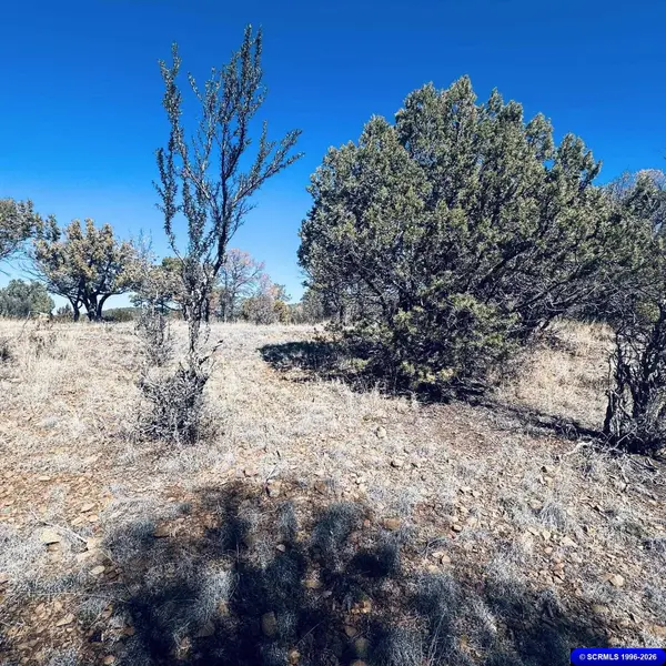9 Vesuvius, Silver City, NM 88061