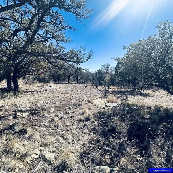 9 Vesuvius, Silver City, NM 88061
