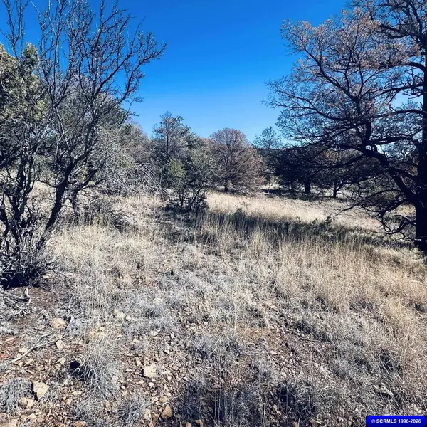 9 Vesuvius, Silver City, NM 88061