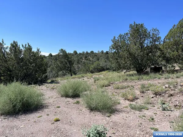 96 San Tomas RD, San Lorenzo, NM 88041