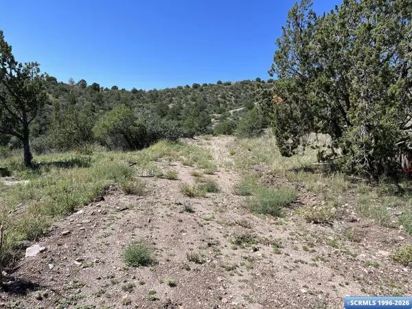 96 San Tomas RD, San Lorenzo, NM 88041