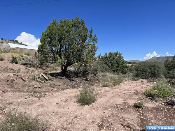 96 San Tomas RD, San Lorenzo, NM 88041