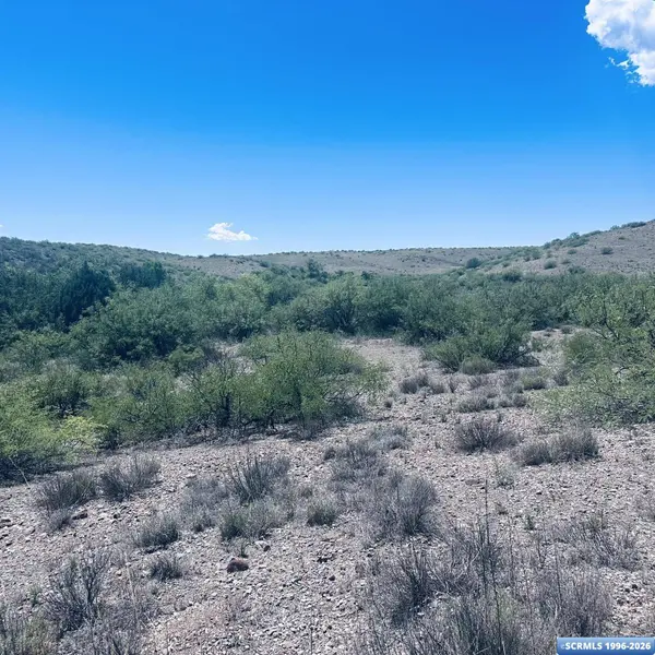 Lot 17 Mogollon Vista Estates, Cliff, NM 88038