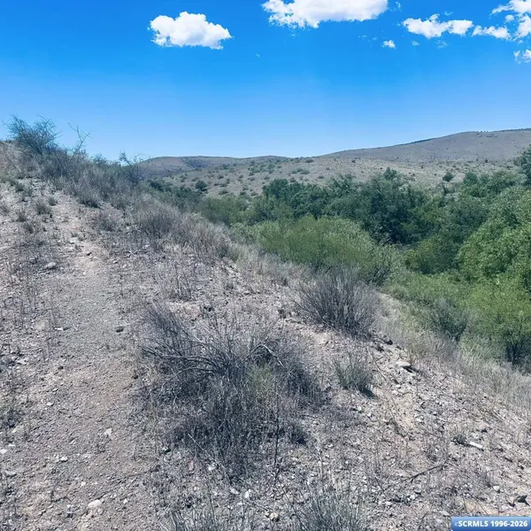 Lot 17 Mogollon Vista Estates, Cliff, NM 88038