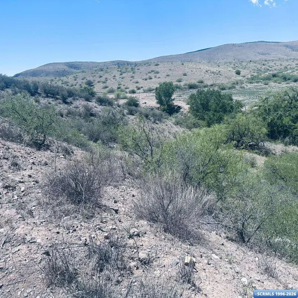 Lot 17 Mogollon Vista Estates, Cliff, NM 88038