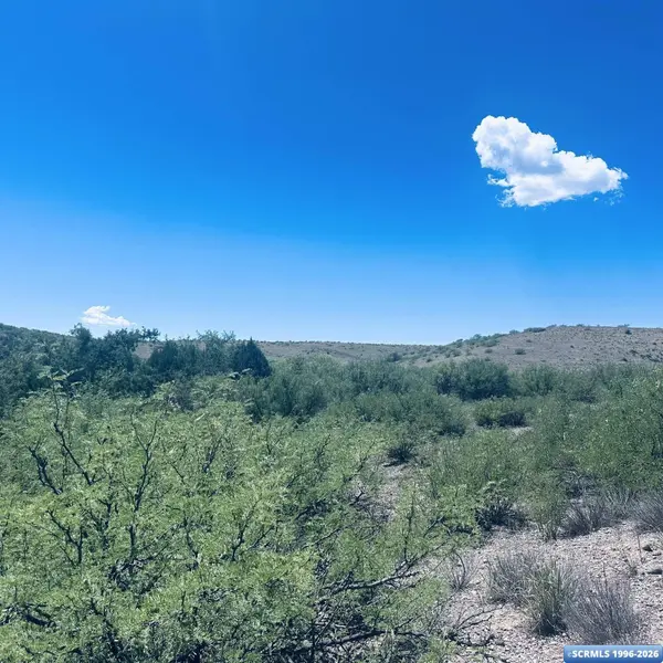 Lot 17 Mogollon Vista Estates, Cliff, NM 88038
