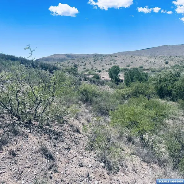 Lot 17 Mogollon Vista Estates, Cliff, NM 88038