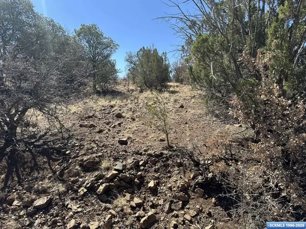 91 Hideaway TRL, Silver City, NM 88061