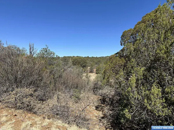 91 Hideaway TRL, Silver City, NM 88061