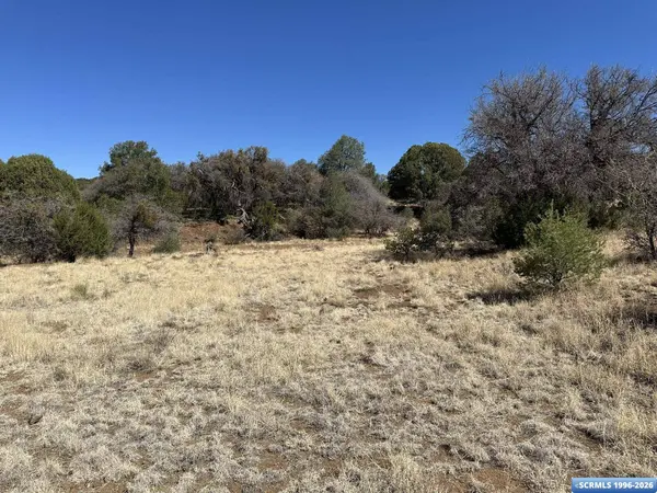 91 Hideaway TRL, Silver City, NM 88061