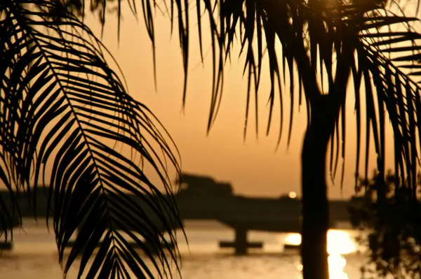 7 Reasons Buyers Are Flocking to Cape Coral, FL
