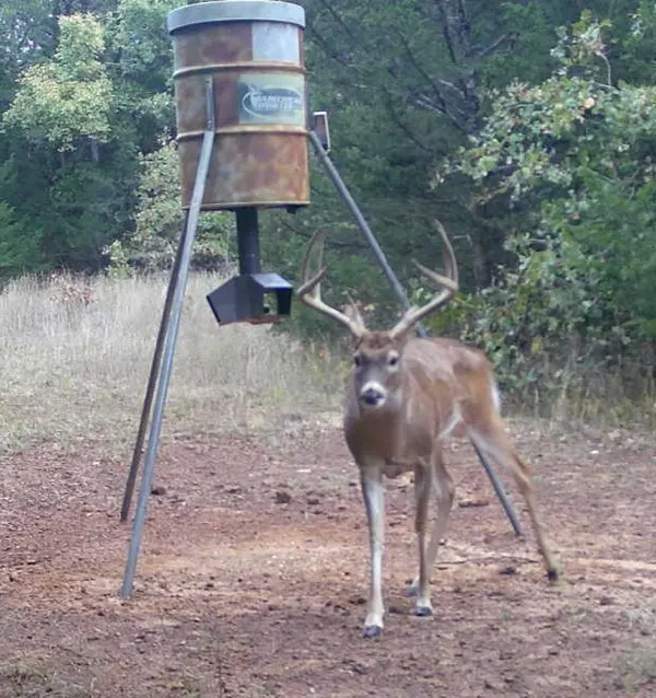 Is Buying a Hunting Ranch in Whitesboro Texas a Mistake in 2026?,Kara Byrnes