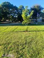 302 Mathis AVE, Obion, TN 38240