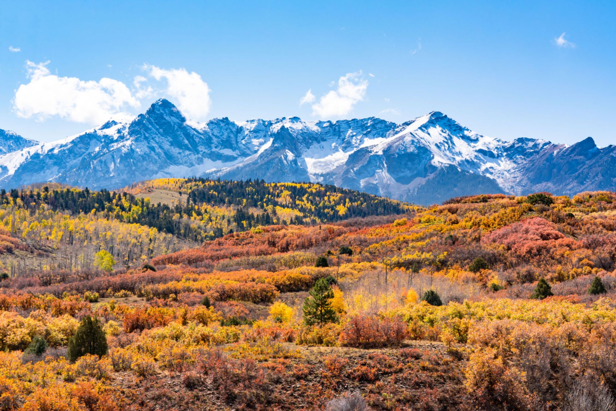 Colorado Rockies in Fall Tree Colors 