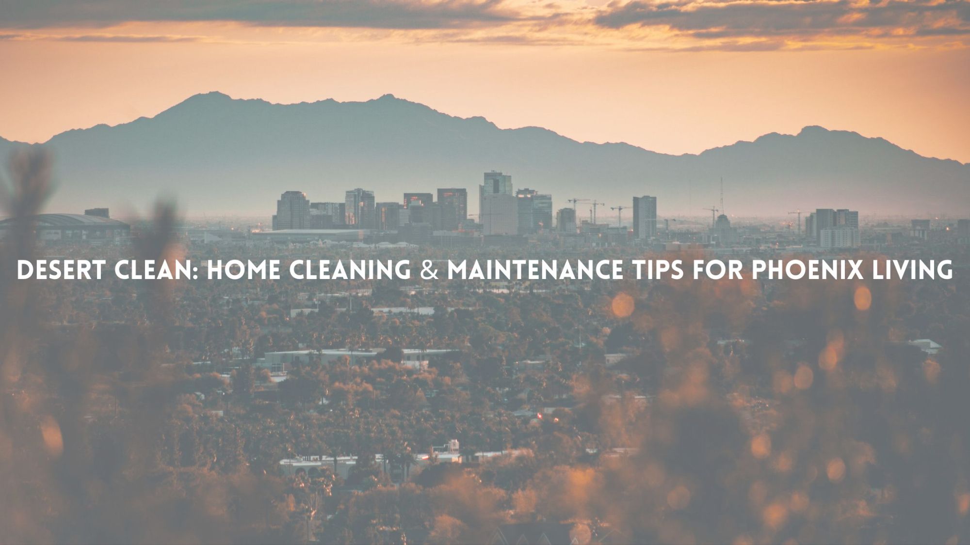 Desert Clean: Home Cleaning & Maintenance Tips for Phoenix Living