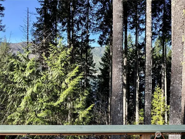 70 N Rim view PL, Hoodsport, WA 98548