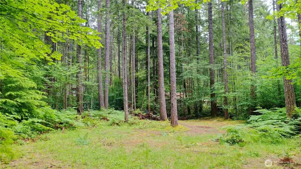 120 N Kokanee Cove WAY, Hoodsport, WA 98548