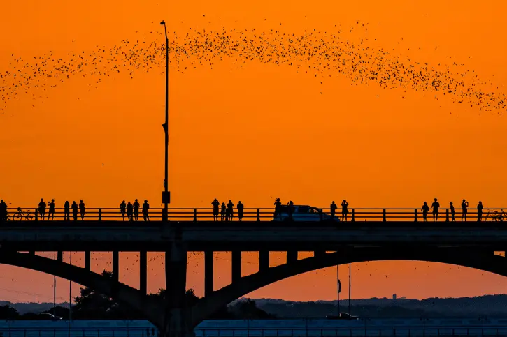 longhorn road blog 1