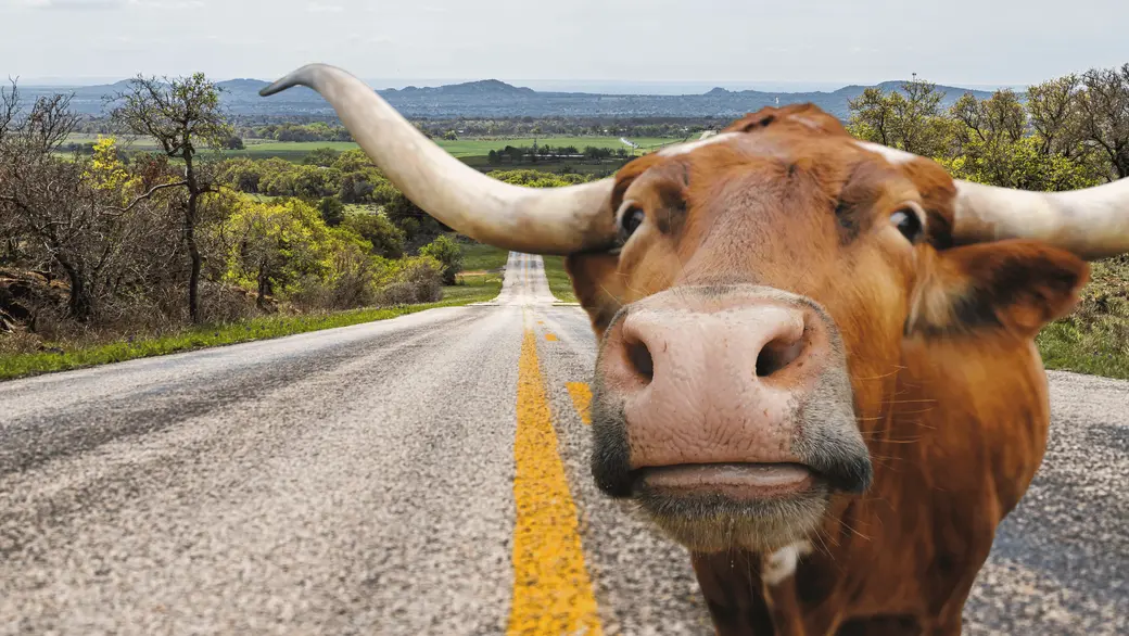 longhorn road blog 1