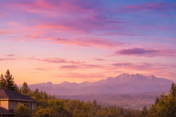 ChatGPT Image Jan 23, 2026, 09_26_18 PM