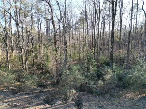 107 Cambridge LN, Seven Lakes, NC 27376