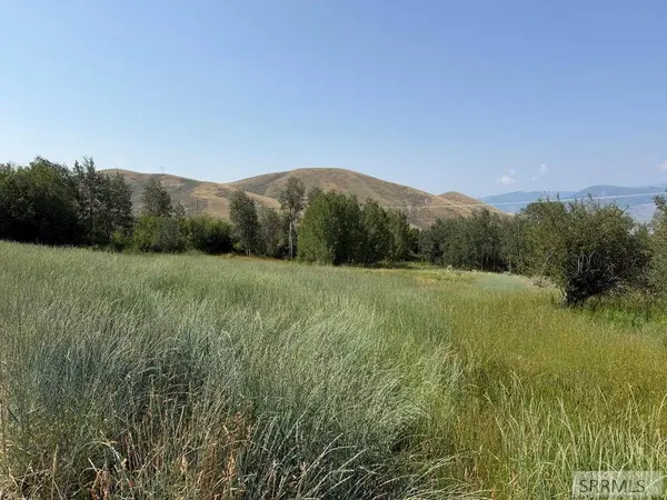NKA E Sandy Creek Road, Salmon, ID 83467