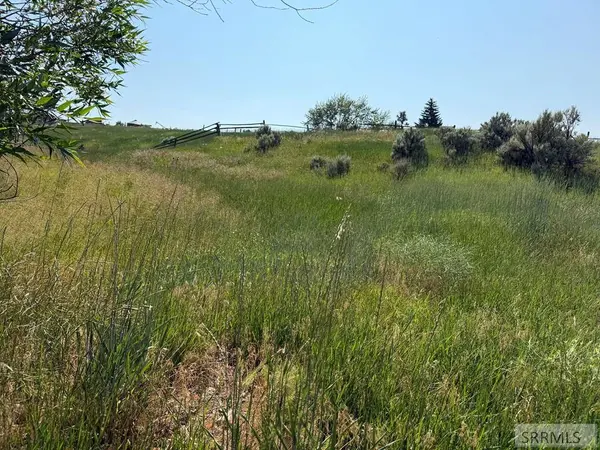NKA E Sandy Creek Road, Salmon, ID 83467