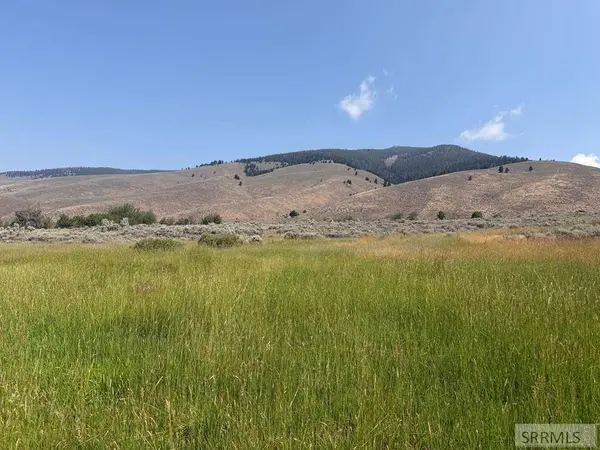 NKA E Sandy Creek Road, Salmon, ID 83467