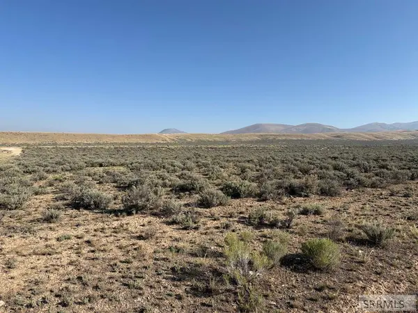 NKN Peterson Creek Road, Leadore, ID 83464