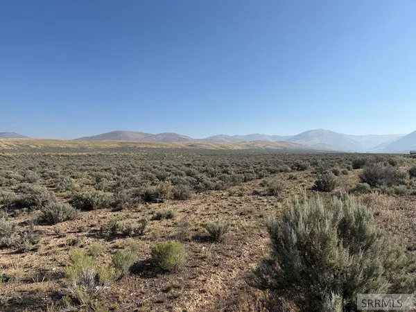 NKN Peterson Creek Road