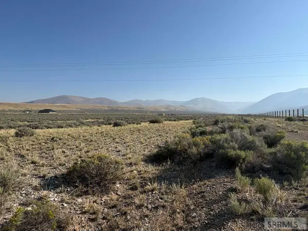 TBD Peterson Creek Road, Leadore, ID 83464