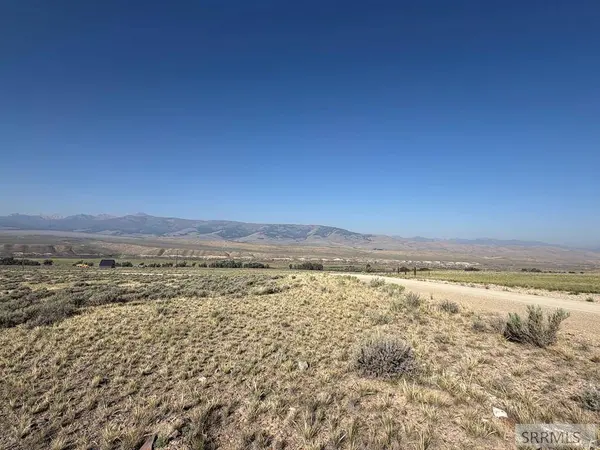 TBD Peterson Creek Road, Leadore, ID 83464