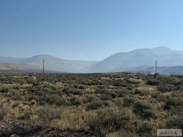 TBD Peterson Creek Road, Leadore, ID 83464