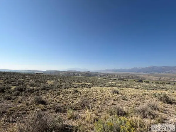 TBD Peterson Creek Road, Leadore, ID 83464