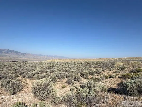 NKN Peterson Creek Road, Leadore, ID 83464