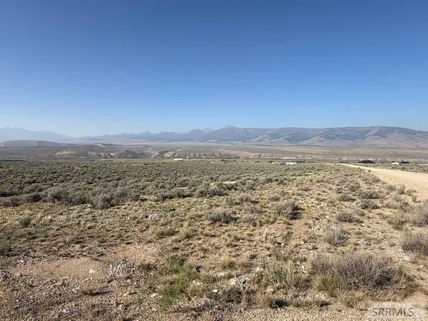NKN Peterson Creek Road, Leadore, ID 83464