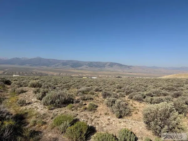 NKN Peterson Creek Road, Leadore, ID 83464
