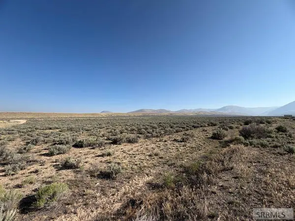 NKN Peterson Creek Road, Leadore, ID 83464