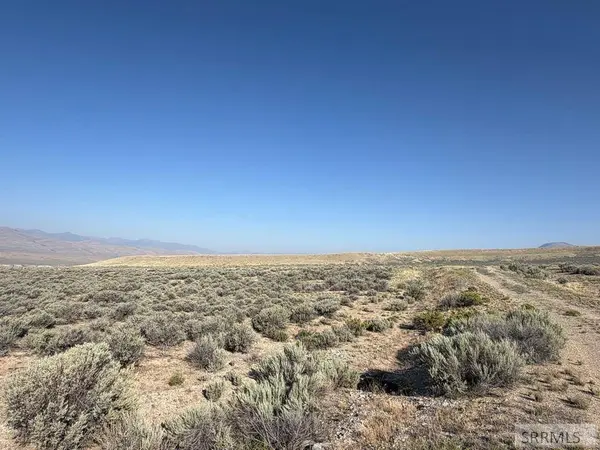 NKN Peterson Creek Road, Leadore, ID 83464
