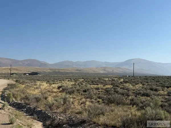 TBD Peterson Creek Road, Leadore, ID 83464