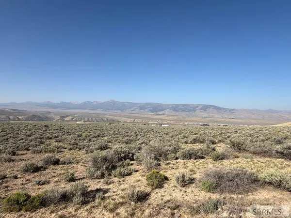 NKN Peterson Creek Road, Leadore, ID 83464