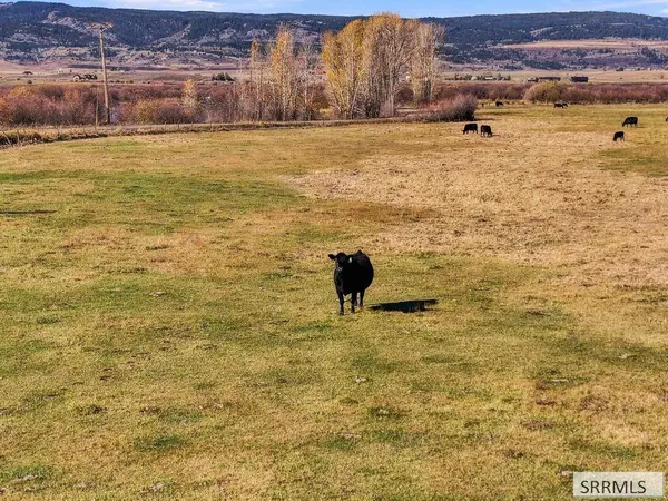 TBD N 4500 W, Tetonia, ID 83452
