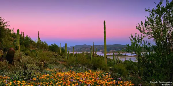 Buying a Home in Peoria, AZ: What You Need to Know