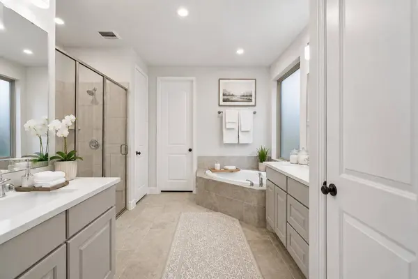 9930 Magnolia Estates LN, Manvel, TX 77578