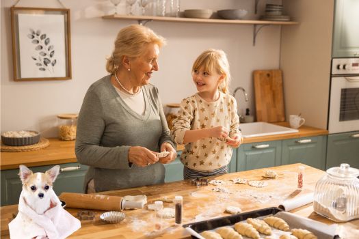 Unlocking the Potential of Granny Flats: A Guide to Building an Auxiliary Dwelling Unit