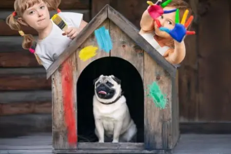 Should I Make Repairs Before Listing the House? A Seller’s Guide,Laura McMillan