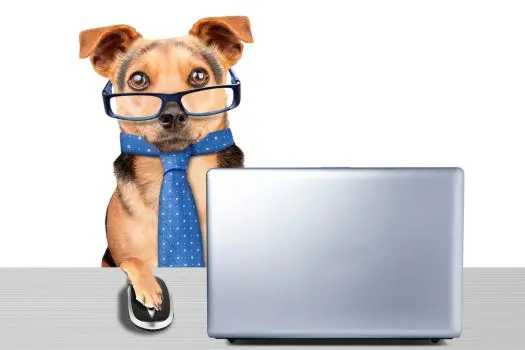 Do I Have to Sign a Buyer’s Representation Agreement Before Looking at Homes?,Laura McMillan