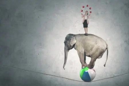 Selecting the Best Listing Agent for Your Needs: A Guide to Maximizing Your Home Sale,Laura McMillan